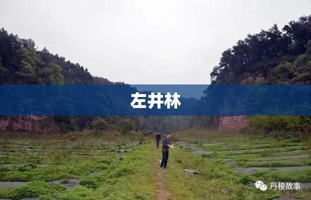 左井林，自然与人文的和谐交融之美  第1张