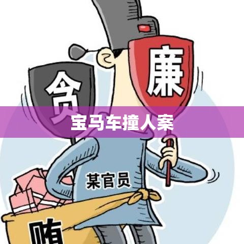 宝马车撞人案深度剖析与反思，警钟长鸣的社会责任审视  第1张