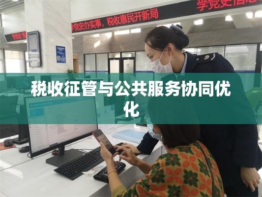 威海市地方税务局，税收征管与公共服务的协同优化之旅  第1张