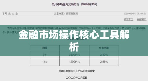 逆回购代码，金融市场操作指南与核心工具解析  第1张