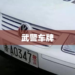 武警车牌背后的深层含义及其重要性解读  第1张