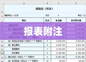 报表附注，揭示数字背后的深层含义与故事  第1张