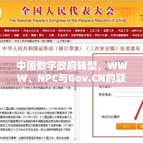 中国数字政府转型，WWW、NPC与Gov.CN的联动效应探索  第1张