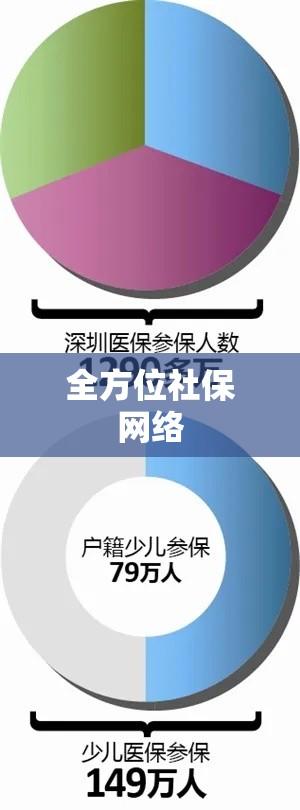 深圳市构建稳健社会保障体系，打造全方位社保网络  第1张