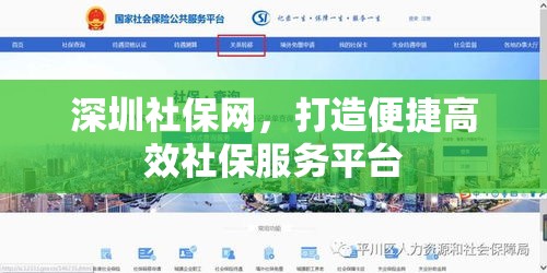 深圳社保网，打造便捷高效社保服务平台  第1张