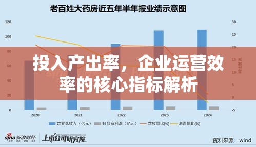 投入产出率，企业运营效率的核心指标解析  第1张