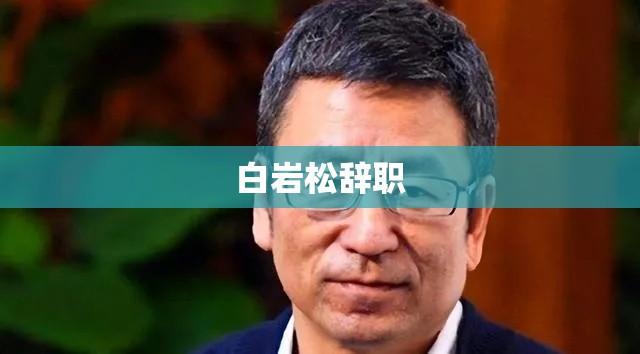 白岩松辞职背后的故事与深度思考  第1张