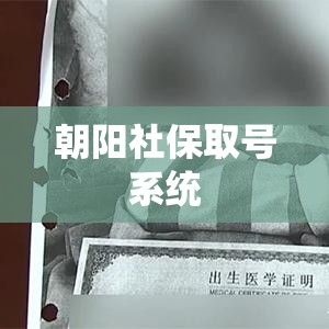 朝阳社保取号系统智能化升级，提升社保办理效率  第1张