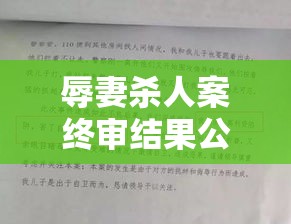 辱妻杀人案终审结果公布，法律公正引发社会反思  第1张