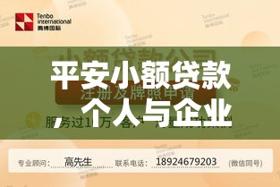 平安小额贷款，个人与企业发展的金融新助力  第1张