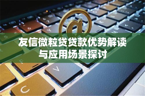 友信微粒贷贷款优势解读与应用场景探讨  第1张