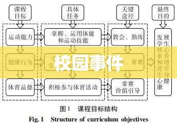 校园事件深度探究，挑战与应对策略  第1张