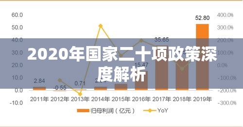 中国2020年国家二十项政策深度解析及其影响概览  第1张