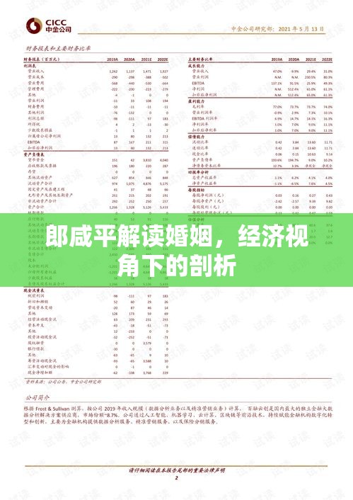 郎咸平解读婚姻，经济视角下的剖析  第1张