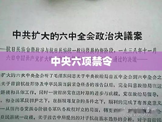 中央六项禁令的实施及其影响深远的社会变革  第1张