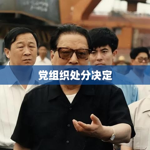 党组织处分决定的依据事实，原则、实践与反思探究  第1张