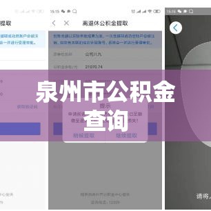 泉州市公积金查询，便捷途径与操作指南全解析  第1张