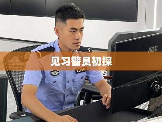 见习警员初探，警界挑战与机遇的交织  第1张