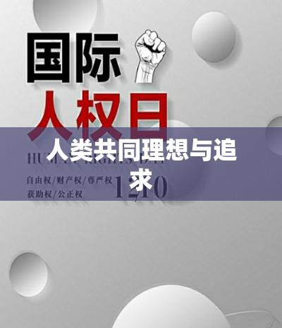 世界人权宣言，人类的共同理想与追求  第1张