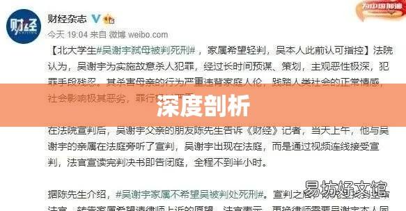 北大学生弑母案深度剖析  第1张