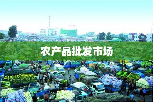 农产品批发市场蓬勃发展繁荣景象  第1张