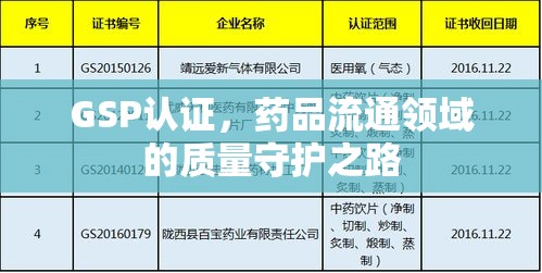 GSP认证，药品流通领域的质量守护之路  第1张