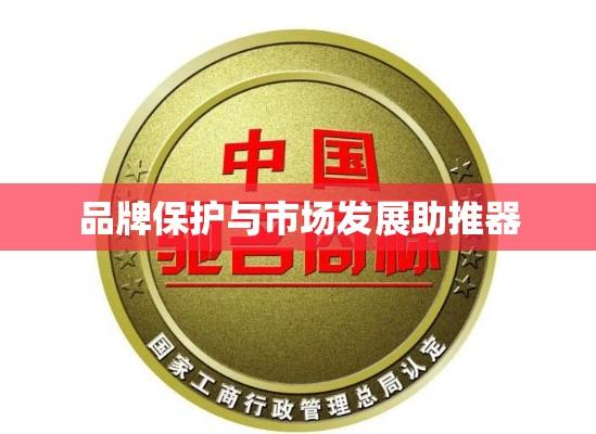 中国驰名商标网，品牌保护与市场发展的强大助推器  第1张