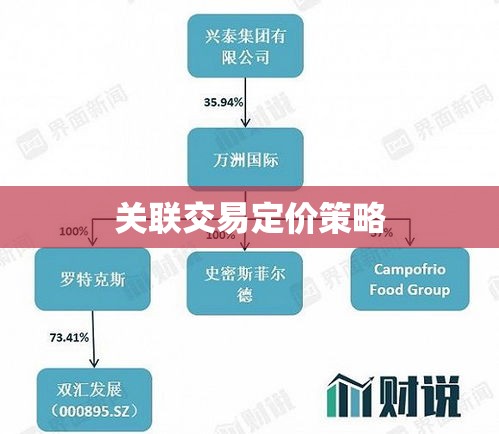 关联交易定价策略、影响及风险管理探讨  第1张