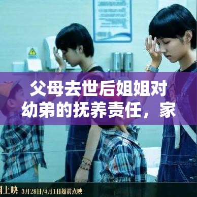 父母去世后姐姐对幼弟的抚养责任，家庭义务与法定义务的探讨  第1张