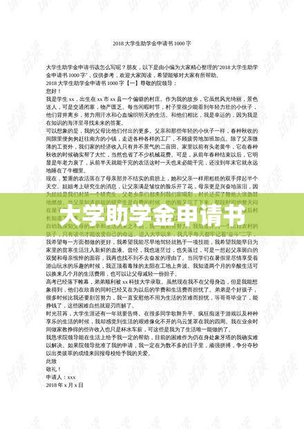 大学助学金申请书，公平教育的探索之路  第1张