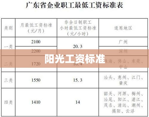 阳光工资标准，重塑公平透明薪酬体系  第1张