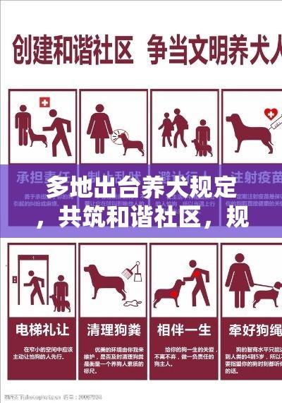 多地出台养犬规定，共筑和谐社区，规范养犬行为成焦点  第1张