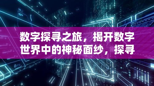 数字探寻之旅，揭开数字世界中的神秘面纱，探寻数字550000的奥秘之旅  第1张