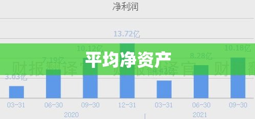 平均净资产，衡量企业稳健发展的核心指标  第1张