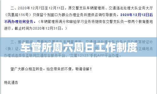 车管所周六周日的工作制度与公众需求考量解析  第1张