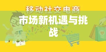 二手网店转让，市场新机遇与挑战的探索  第1张