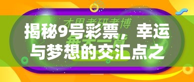 揭秘9号彩票，幸运与梦想的交汇点之夜  第1张