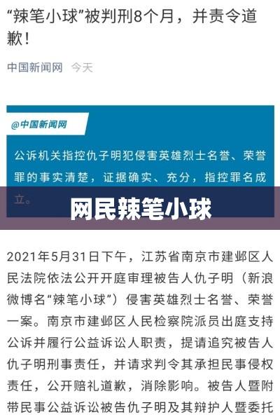 网民辣笔小球被批捕事件深度解析  第1张