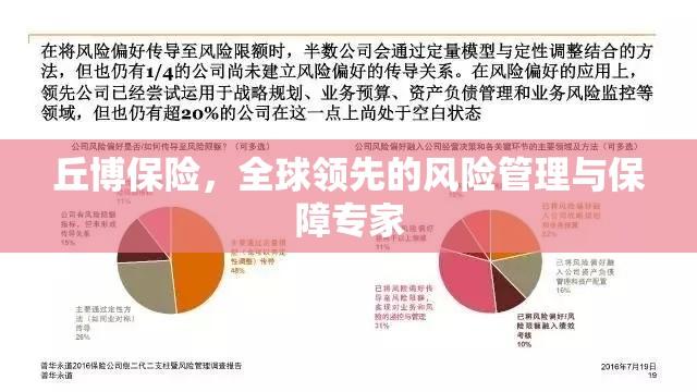 丘博保险，全球领先的风险管理与保障专家  第1张