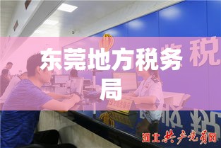 东莞地方税务局，税收征管与公共服务的创新融合实践  第1张