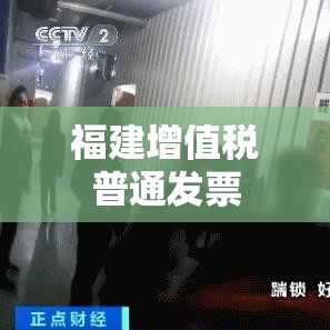 福建增值税普通发票解析与应用指南  第1张