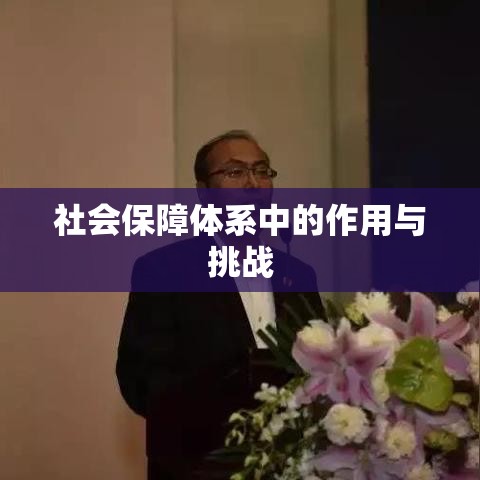 社会保险基金理事会在社会保障体系中的作用、挑战与应对策略  第1张