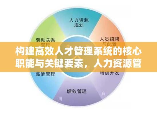 构建高效人才管理系统的核心职能与关键要素，人力资源管理的核心探讨  第1张