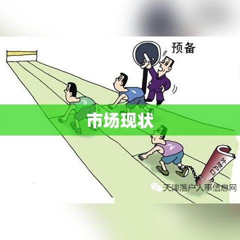 天津限价房楼盘政策解读与市场现状探寻  第1张