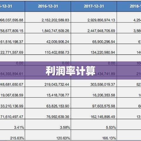 利润率计算详解，洞悉盈利能力的核心指南  第1张