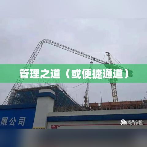 温州高速违章查询，便捷通道与管理之道  第1张