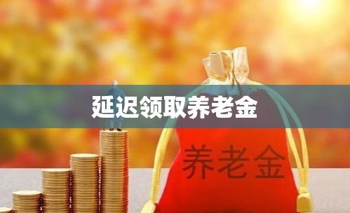 延迟领取养老金，老龄化社会的策略应对与挑战  第1张