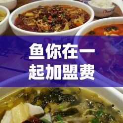 鱼你在一起加盟费解析，共创美食事业新篇章  第1张