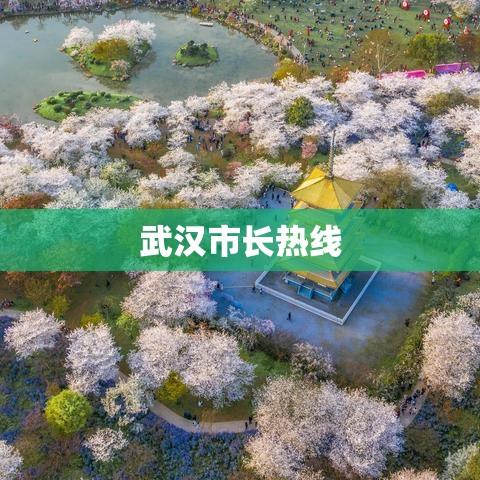 武汉市长热线，市民与政府的沟通桥梁  第1张